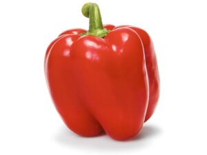 Bell pepper