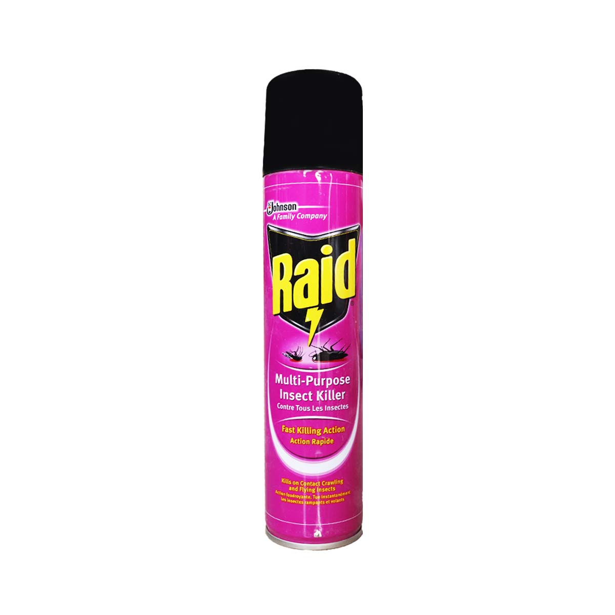 RAID Multi-Purpose Insect Killer